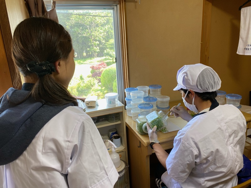 増殖レクチャー