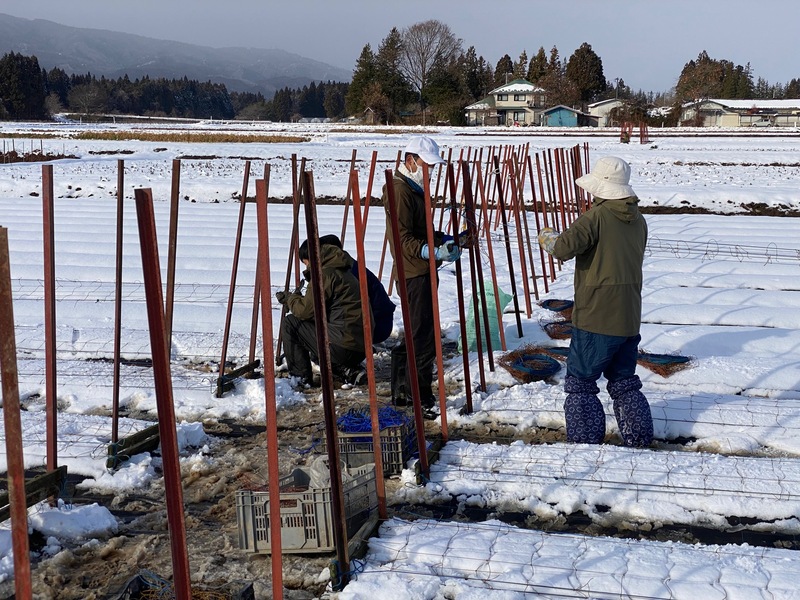 ネットはりアップ