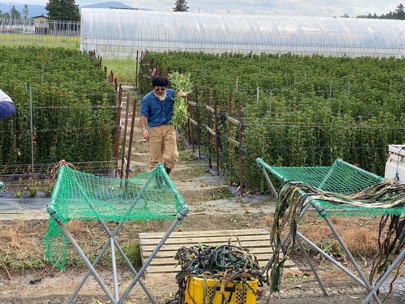 ファースト回収