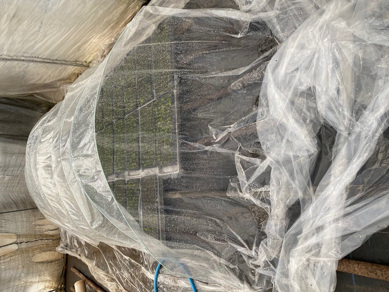 順化トンネル遠