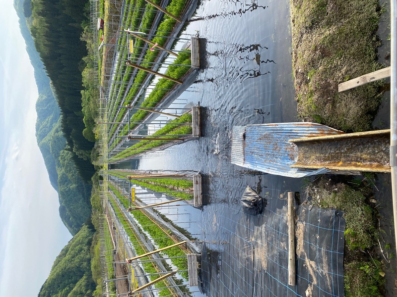 灌水